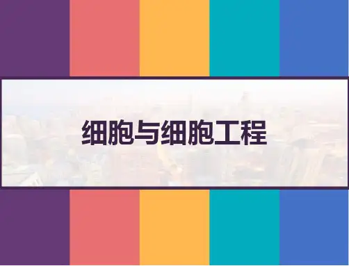 细胞与细胞工程 PPT