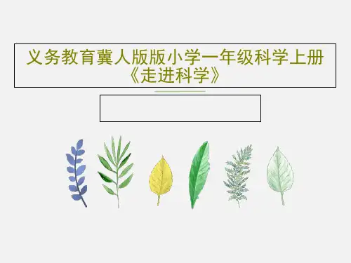 义务教育冀人版版小学一年级科学上册《走进科学》16页文档