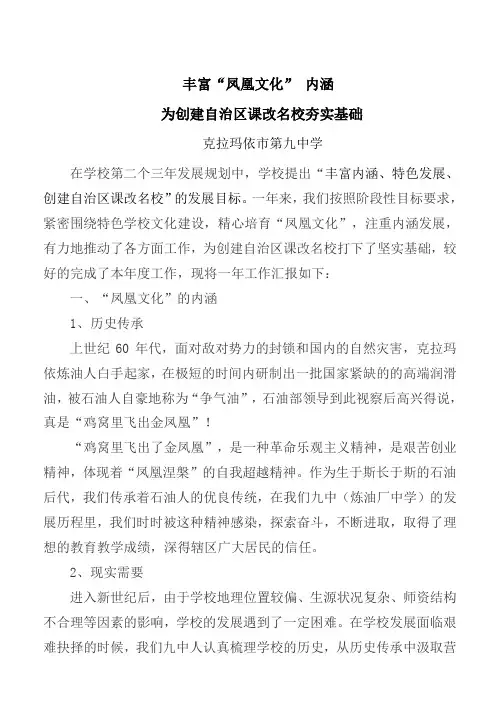 2011“丰富”凤凰文化内涵