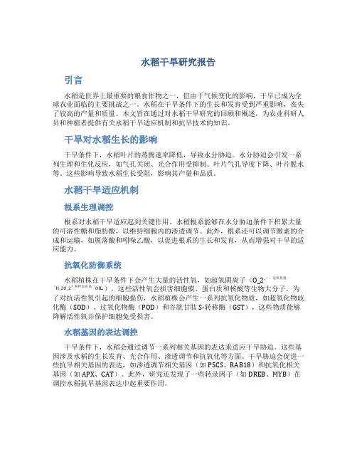 水稻干旱研究报告