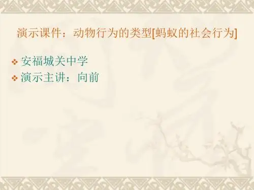 演示课件：动物行为的类型蚂蚁的社会行为