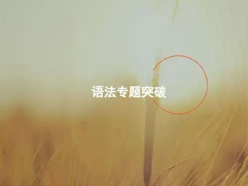 2018届高考英语一轮课件：语法专题1 名词和冠词 精品