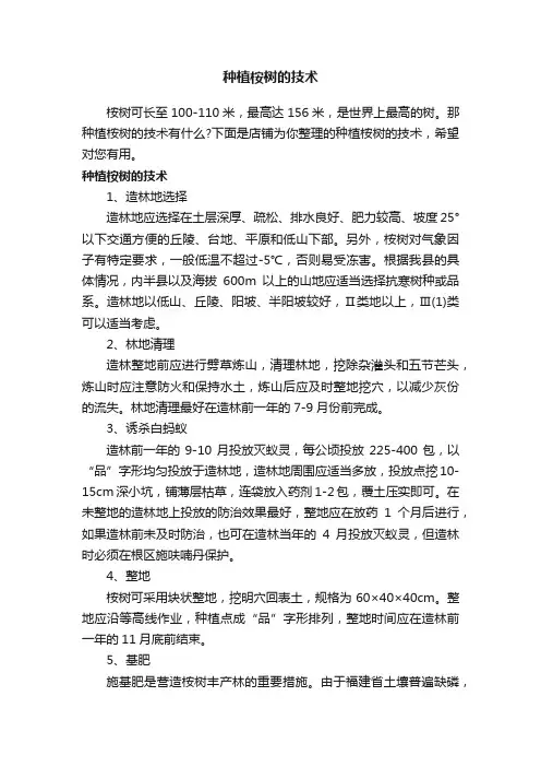种植桉树的技术