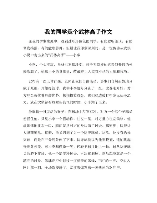 我的同学是个武林高手作文