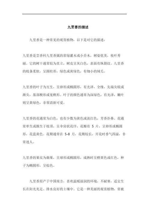九里香的描述