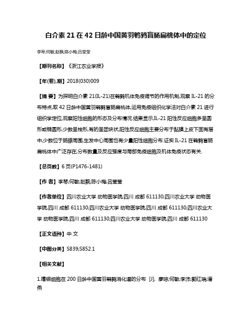 白介素21在42日龄中国黄羽鹌鹑盲肠扁桃体中的定位