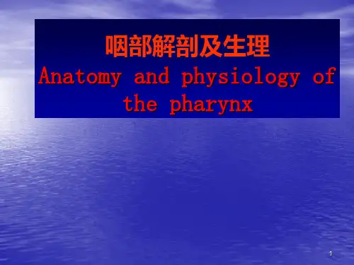 【医学课件】咽的应用解剖及生理 扁桃体炎