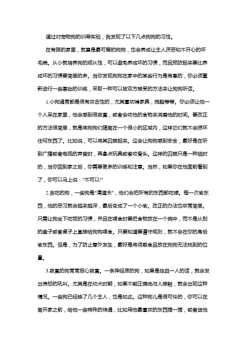 宠物训导实验报告