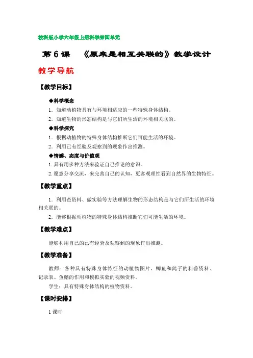 第6课  《原来是相互关联的》教案(教科版小学六年级科学上册第四单元)