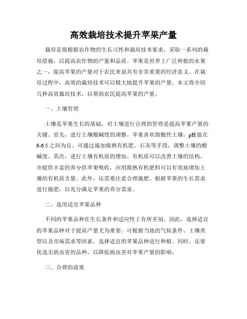 高效栽培技术提升苹果产量