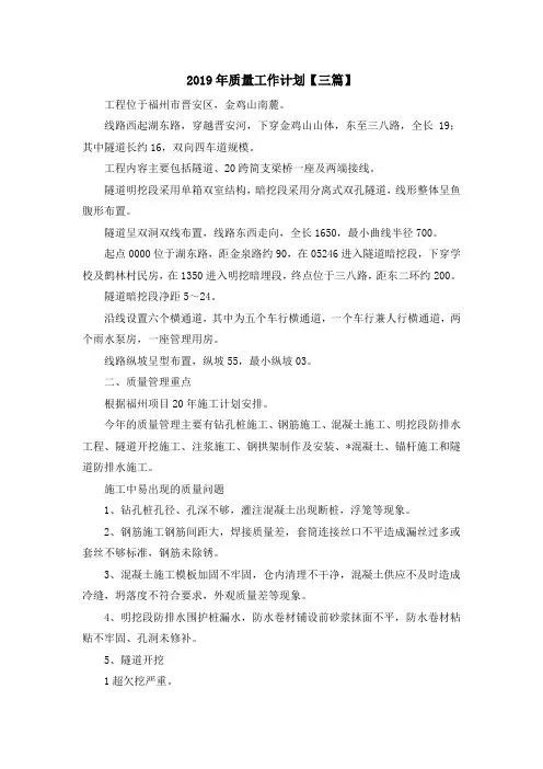 最新-2019年质量工作计划【三篇】 精品