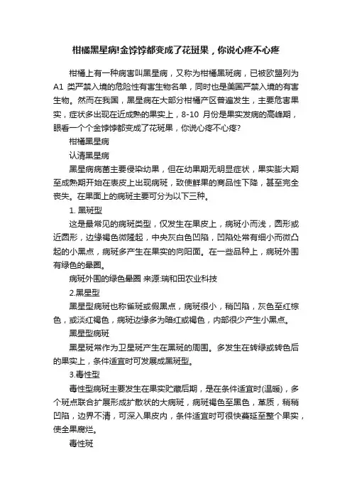 柑橘黑星病!金饽饽都变成了花斑果，你说心疼不心疼