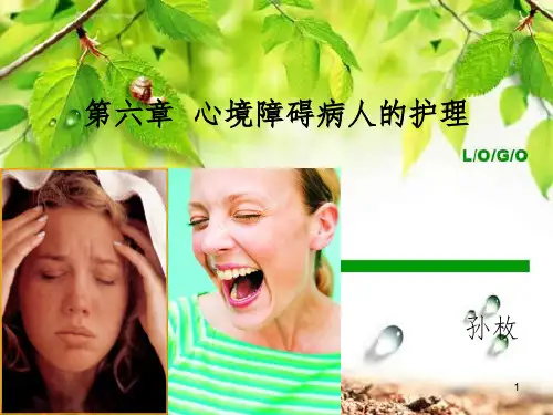 第六章心境障碍病人的护理ppt课件