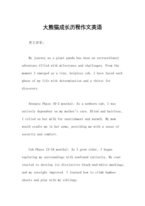 大熊猫成长历程作文英语