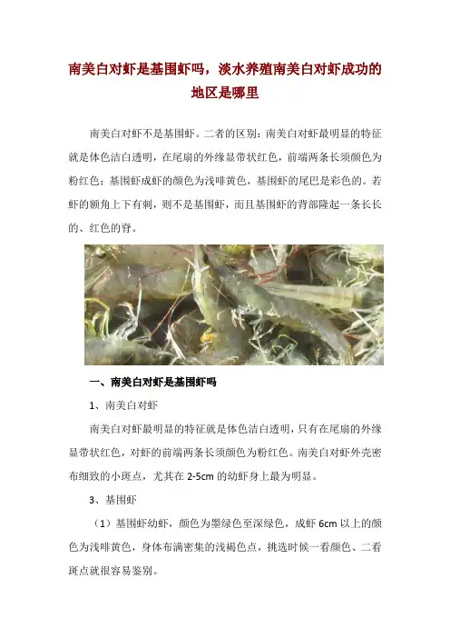南美白对虾是基围虾吗,淡水养殖南美白对虾成功的地区是哪里