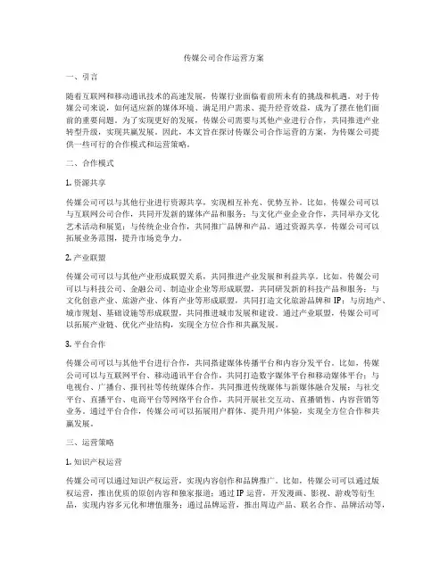 传媒公司合作运营方案