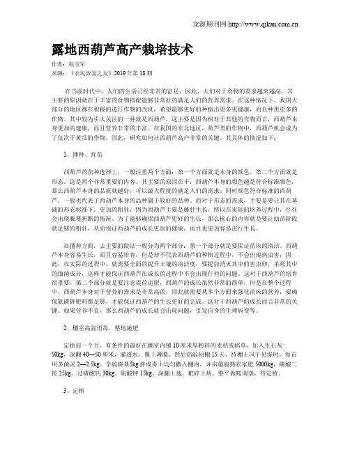 露地西葫芦高产栽培技术