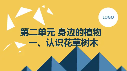 一认识花草树木(课件)三年级下册综合实践活动