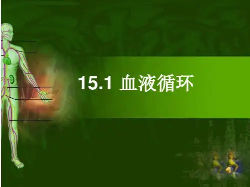 人体内物质的运输—血液循环课件(共26张PPT)2024--2025学年苏科版生物八年级上册