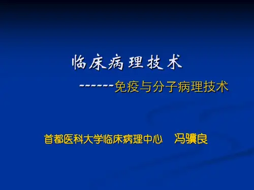 分子病理学技术讲稿