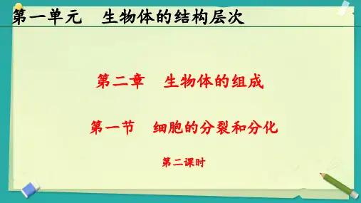 细胞的分裂和分化ppt课件