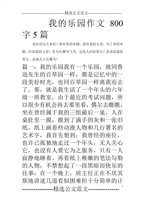 我的乐园作文800字5篇