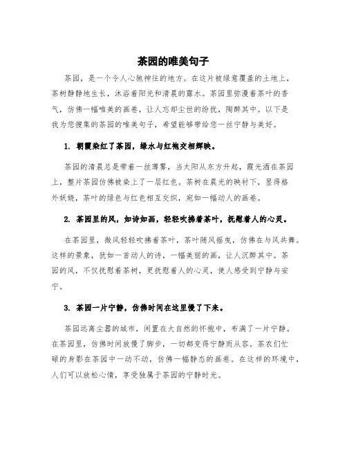 茶园的唯美句子