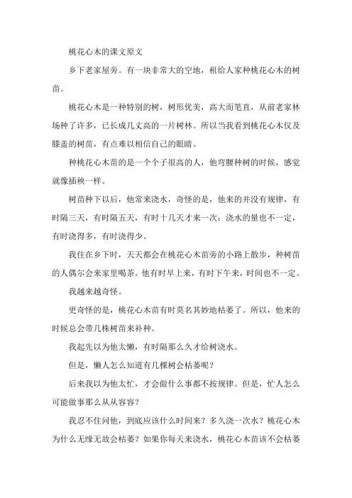 桃花心木的课文原文