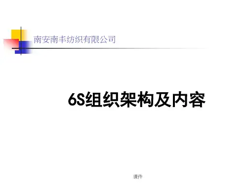 6S组织架构及内容精细版.ppt