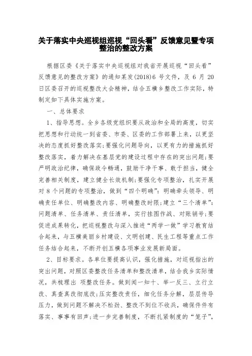 关于落实中央巡视组巡视“回头看”反馈意见暨专项整治的整改方案