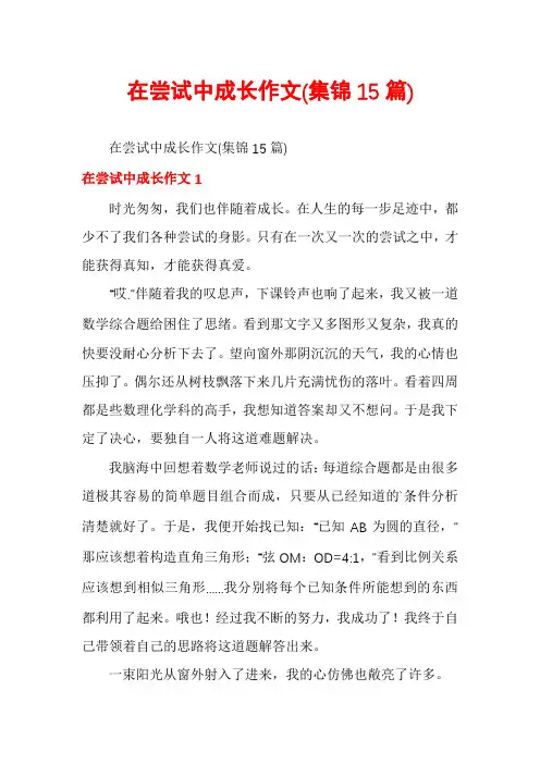 在尝试中成长作文(集锦15篇)