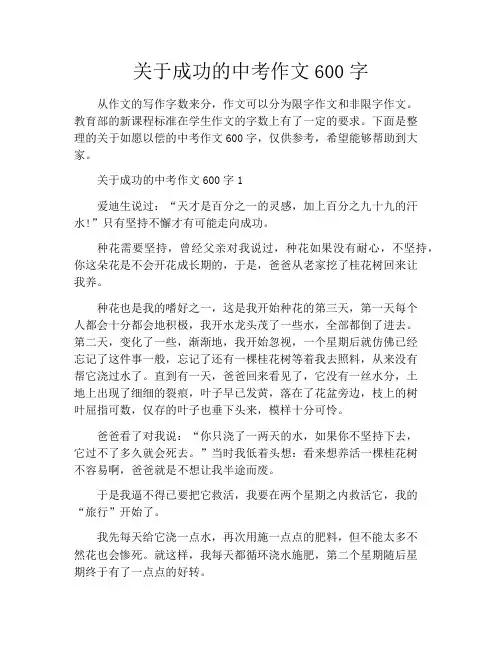 关于成功的中考作文600字