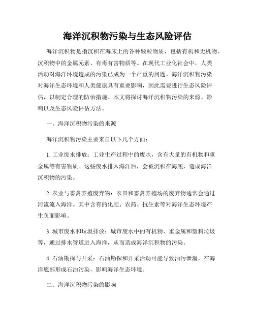 海洋沉积物污染与生态风险评估