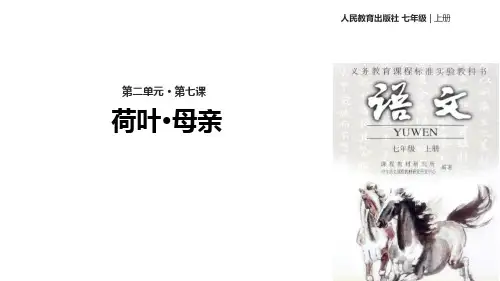 部编版七年级语文上册 荷叶母亲 散文诗二首