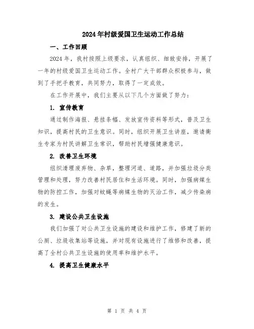 2024年村级爱国卫生运动工作总结