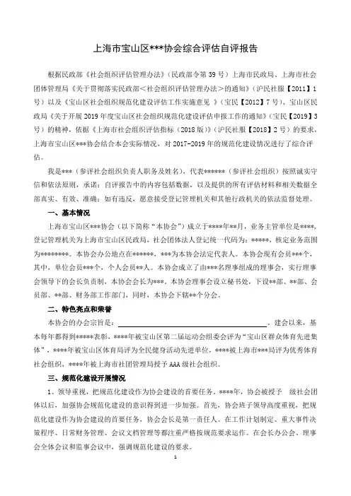 社会团体自评报告模板