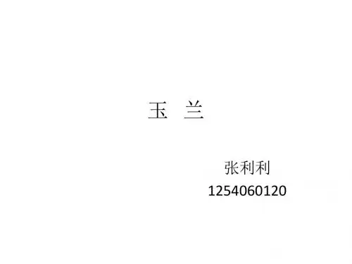 玉   兰