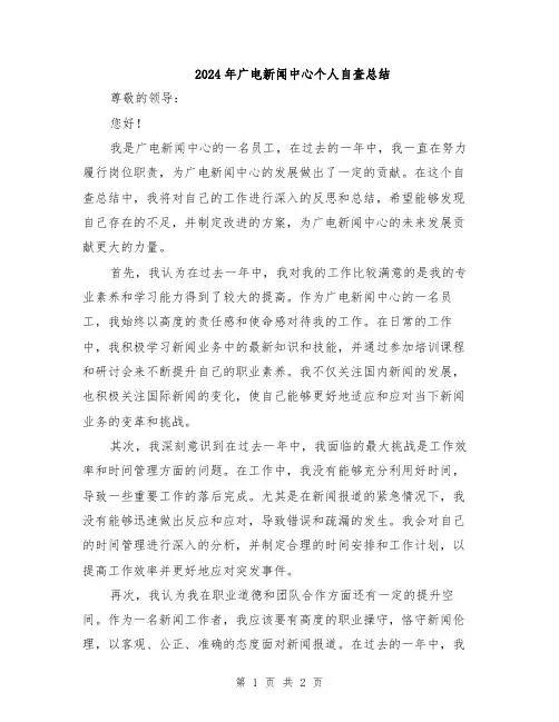 2024年广电新闻中心个人自查总结