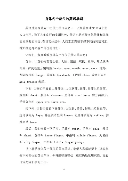 身体各个部位的英语单词
