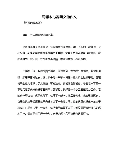 写啄木鸟说明文的作文