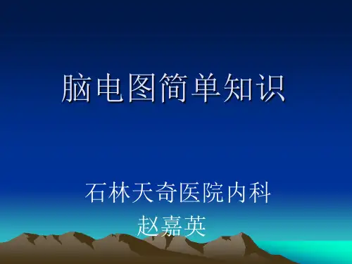 脑电图简单知识幻灯片