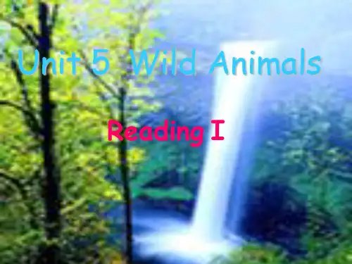 译林牛津版8A Unit 5 Wild animals Reading I 教学课件  (共34张PPT)
