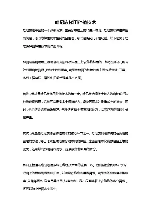哈尼族梯田种植技术