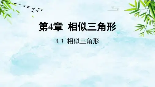 4.3 相似三角形九年级上册数学浙教版
