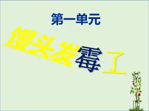 六年级科学上册-馒头发霉了课件