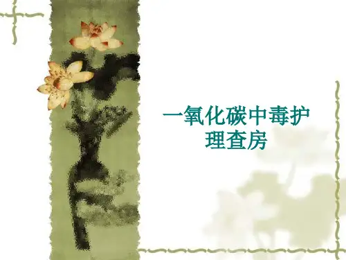 一氧化碳中毒护理查房【18页】