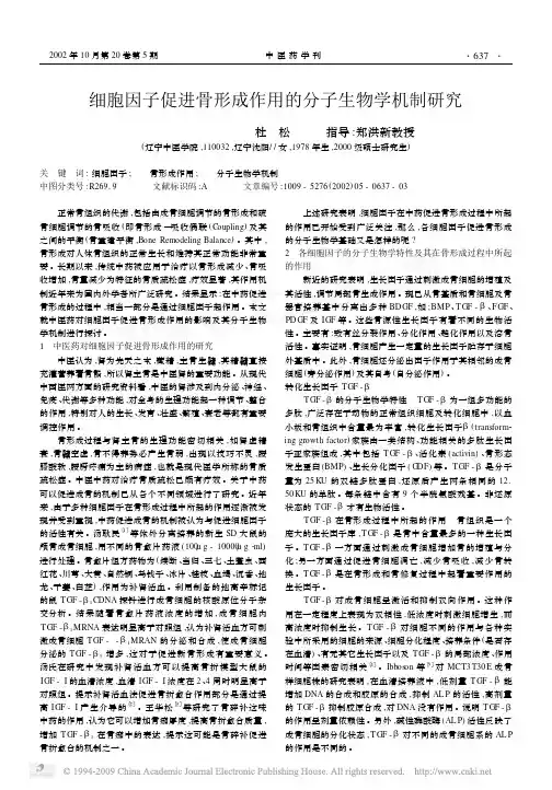 细胞因子促进骨形成作用的分子生物学机制研究