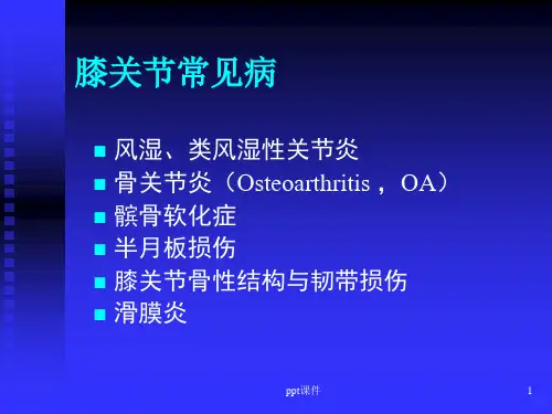 膝关节常见病的诊断与治疗ppt课件