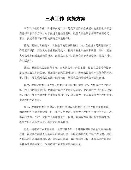 三农工作 实施方案