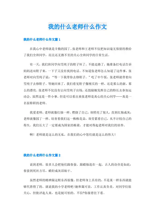 我的什么老师什么作文